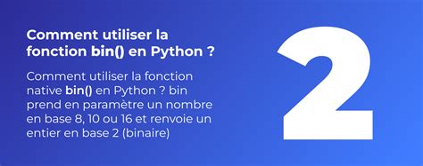 Bin Python Org