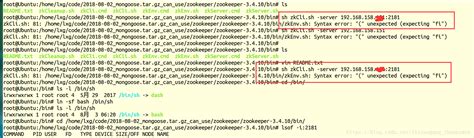 bin sh syntax error unexpected end of file expecting fi