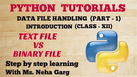 binary files in python class 12 programs