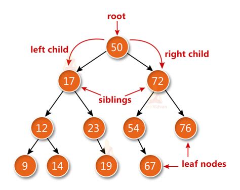 binary search in data structure c