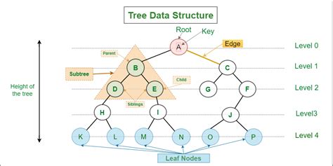 binary search tree in data structure in java
