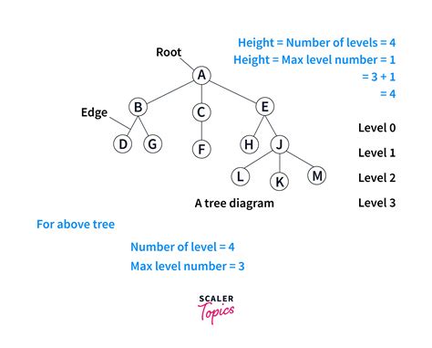 binary tree in data structure code in c