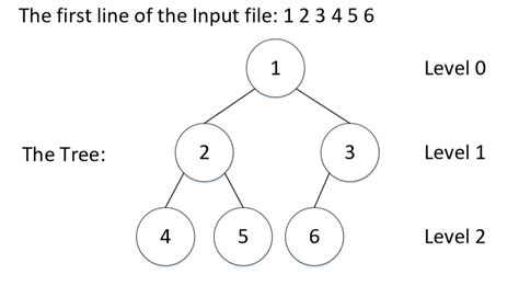 binary tree in data structure in cpp