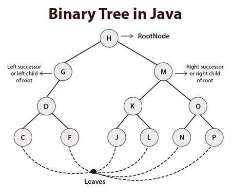 binary tree in data structure in java