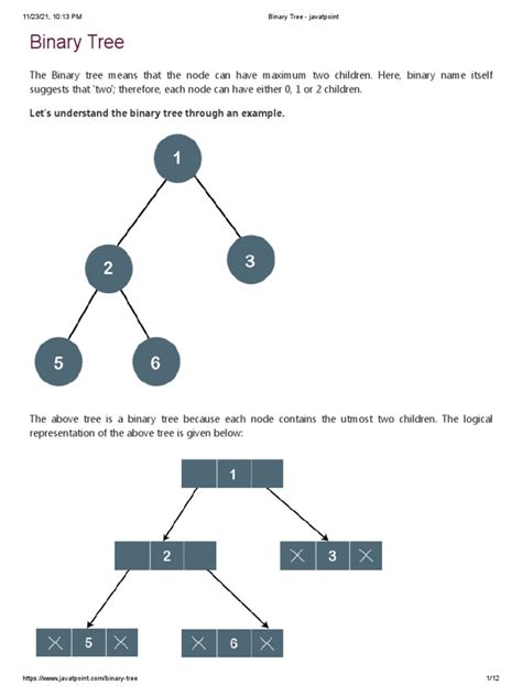 binary tree in data structure javatpoint
