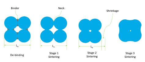 Binder Jetting Shrinkage