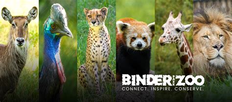 binder park.zoo