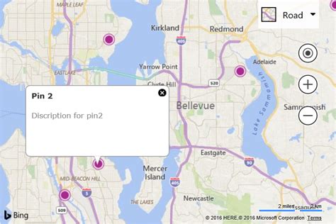 Bing Maps Add Pushpin Javascript: A Comprehensive Guide