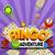 bingo adventure - free game