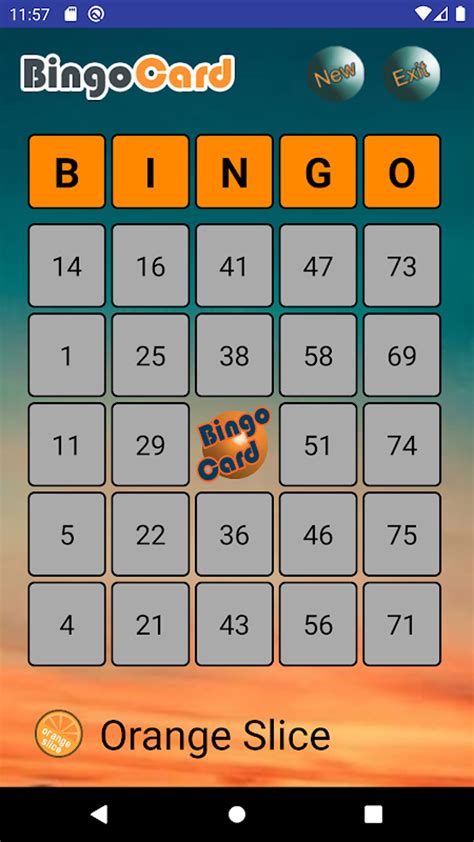 Bingo Cards Apk