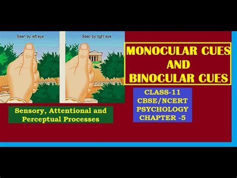 Binocular Cues Class 11