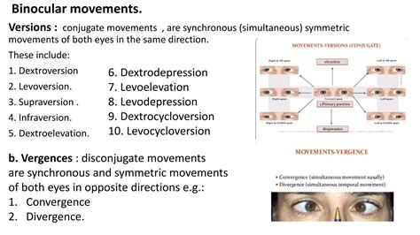 Binocular Divergence