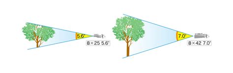 binocular field of view