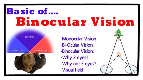 Binocular Function