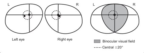 Binocular Visual Field