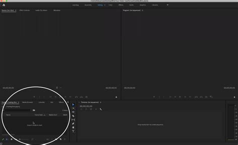 Bins Adobe Premiere Pro