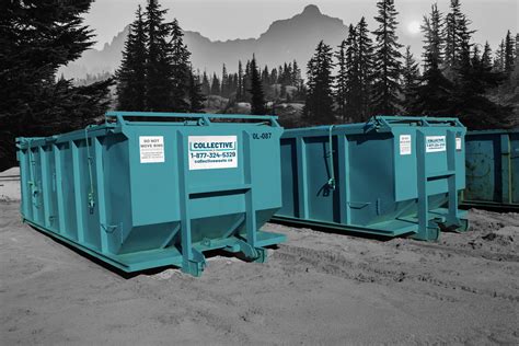 Bins Cannot Be Created On Dimensions Mcq