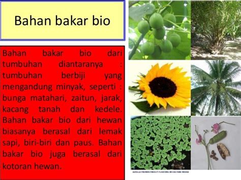 bio adalah miliar