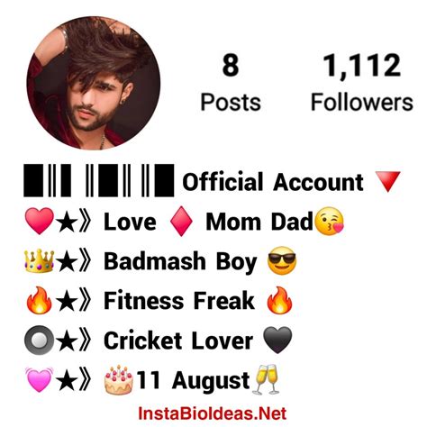 Bio For Instagram For Boy Attitude One Word