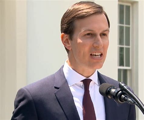 bio of jared kushner