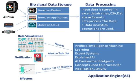 Bio Signal Processing