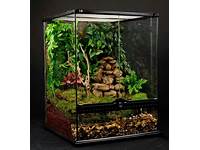 Bioactive Terrarium For Frogs