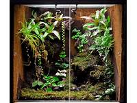 Bioactive Terrarium Materials