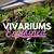bioactive terrarium vs vivarium