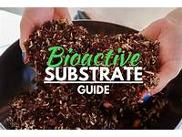Bioactive Vivarium Substrate Recipe