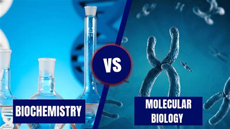 biochemistry vs molecular biology major