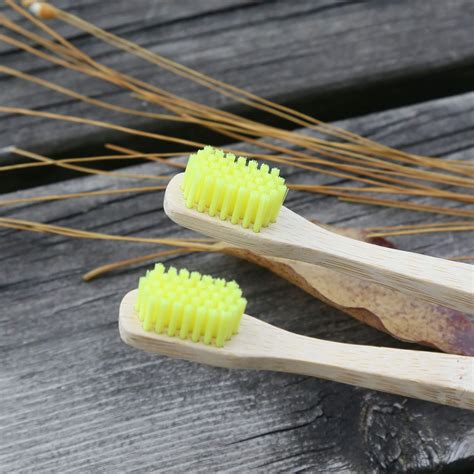 Biodegradable Disposable Toothbrush