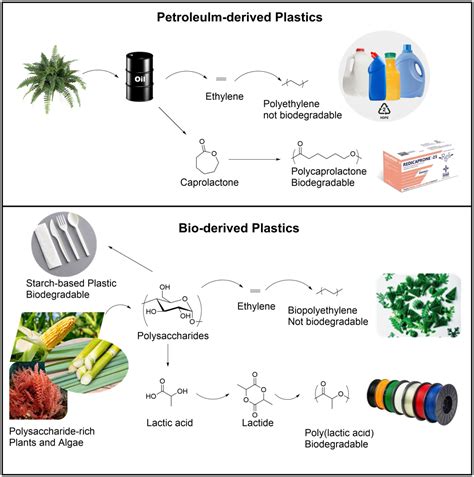 Biodegradable Plastics Synthesis
