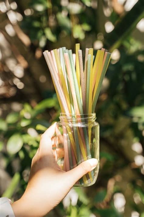 Biodegradable Straws Not Paper