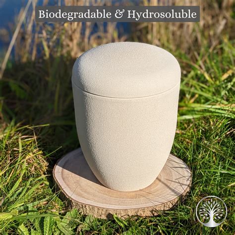 biodegradable urn for ashes
