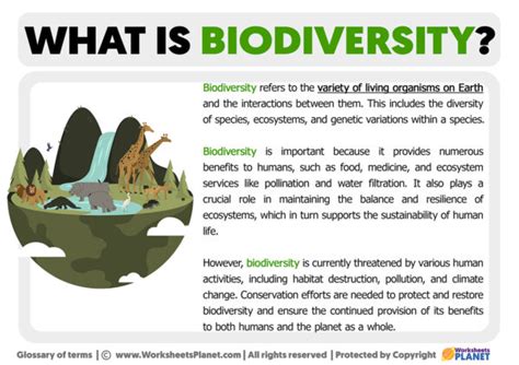 biodiversity meaning in urdu and examples pdf
