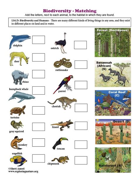 Biodiversity Printable Worksheets