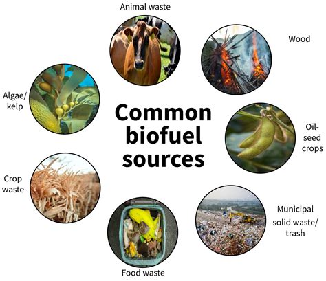 Biofuel Raw Materials List