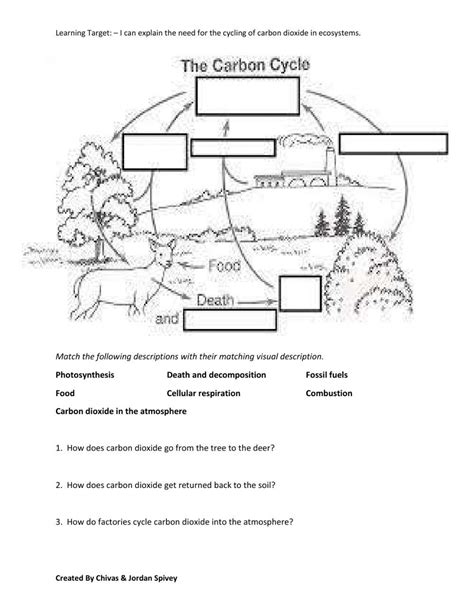 biogeochemical cycles worksheet answers carbon cycle