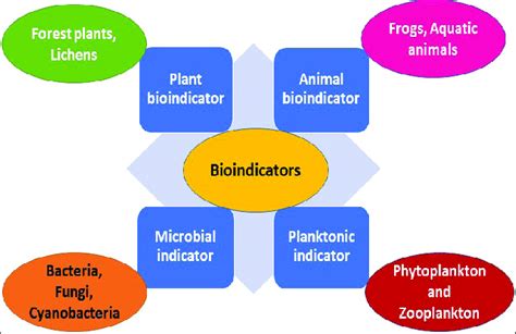 Bioindicators Examples