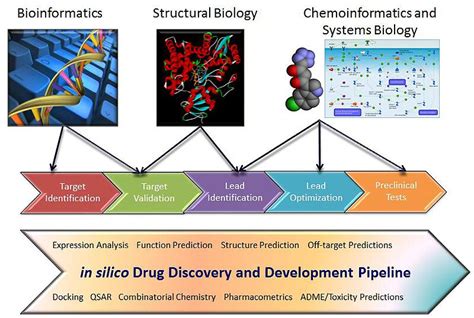 bioinformatics and computational biology in drug discovery and development