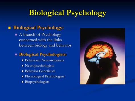 PPT Biological Psychology PowerPoint Presentation, free download ID