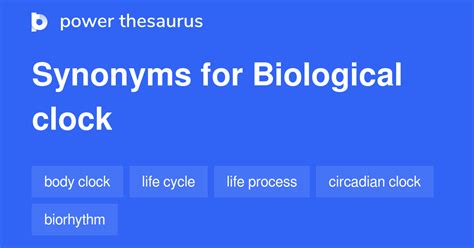 Biological Clock Definition Synonyms