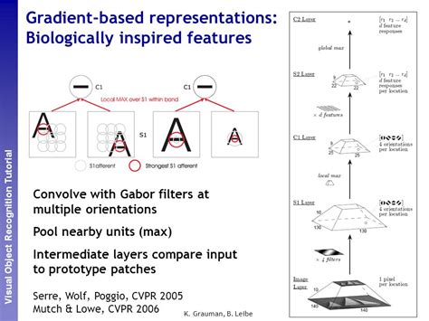 Biologically Inspired Features Code