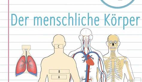 Grundwissen Humanbiologie 1 - Körper / 7-5502070 | Lehrmittel Reinhold