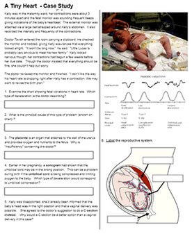 Biology Corner Tiny Heart Case Study