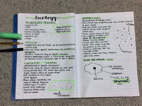 Biology Notes Design