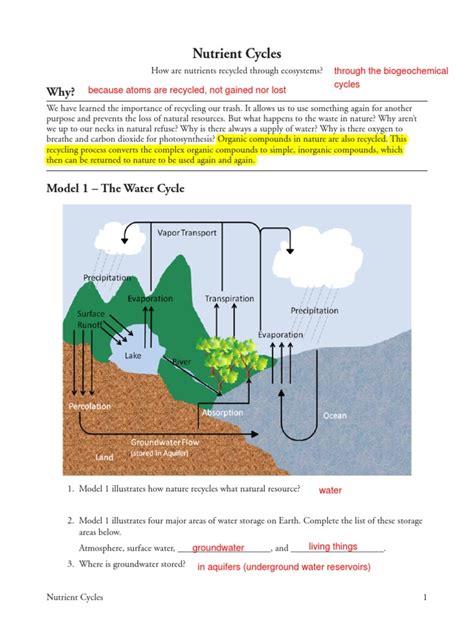 biology nutrient cycles worksheet answers