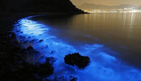 We have glowing beaches here on Earth and they are