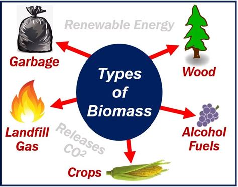 Biomass Energy Definition Quizlet