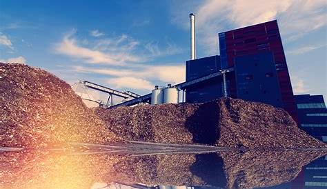 Biomassenutzung Bioenergie Energie Erneuerbare Energien Energie Sparen